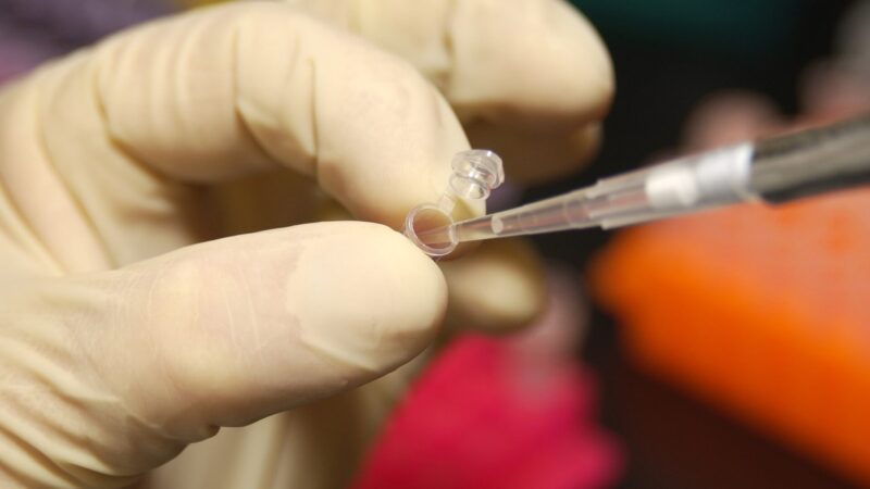 Epigenetica: come l’ambiente riscrive il DNA